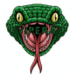 Vipera Old Logo